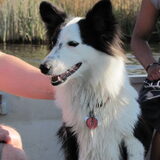 Foto van Amigo en K.C.