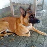 Brenda