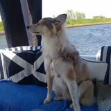 lekker varen voor de 1e keer