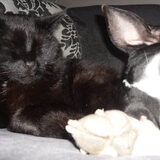 met chill samen slapen (L)