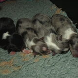 Op een rijtje (1 dag oud)