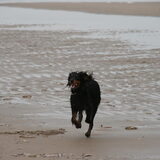 1ste keer los op het strand...., jippie!!!