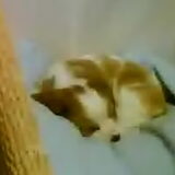 zzzzzzzzz...