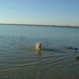 Het was weer lekker hoor.