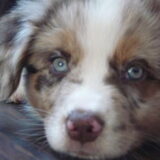 Close up