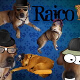 Raico parodie