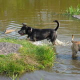 Foto van Kenny*Melissaa*Rufus (L)
