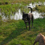 Foto van Kenny*Melissaa*Rufus (L)