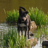 Foto van Kenny*Melissaa*Rufus (L)