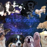 Colage i love doggies 4ever