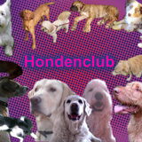 Hondenclub