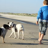 Op het strand