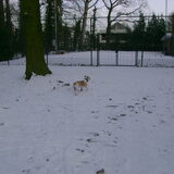 sneeuwpret
