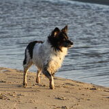 Andor, 7 jaar