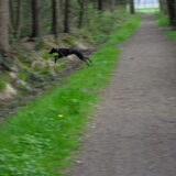 een mooie jump