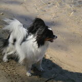 Foto van Marlon en Lady