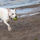 Foto van Hetty & Skipper
