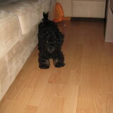 Foto van Tiamo  ^_^  Dyuna