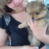 Milo, 6 weken oud