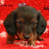 onze nieuwe aanwinst ABBY