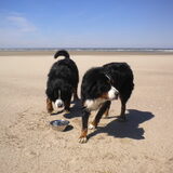 Oh een lekker fris bakje water voor ons ... Dat zal goed doen met al…