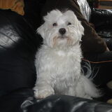 Foto van jacky