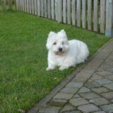 in de tuin