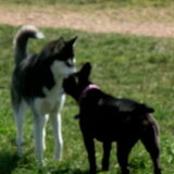 Foto van Amanda *Diablo & Lana