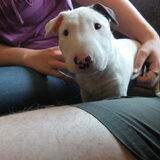 Salto 6 weken... hoe lief!!
