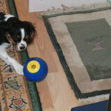 Die bal wil nie stil blijven liggen he !!!!