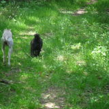 samen op pad