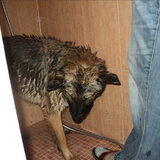 douchen... (mysti:blegh!)