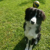 Foto van silke & woody