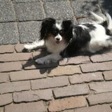 Foto van Marlon en Lady