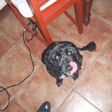 Hier Was Ik Net Bij De Kapper Geweest..:P