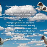 Cannelo Collage van happydroepyzottiedolly