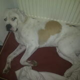 Goof op zn matje