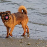 I've got a tongue and I'm not afraid to use it!