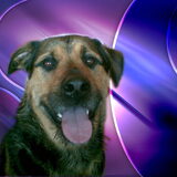 Foto van Claudia & Tank