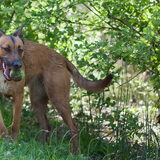 Foto van Hetty & Skipper