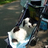 yinti in de buggy