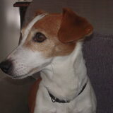 shila