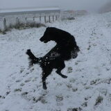 Sneeuwpret :D