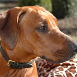 Themba in het zonnetje