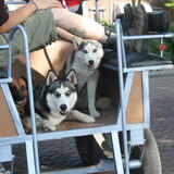 Foto van Suze en de 3
