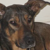 Foto van Elly