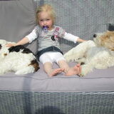 Hoezo 3 luie dondertjes??