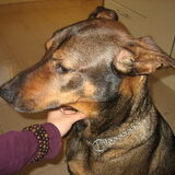 Foto van Elly