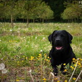 Foto van Janine