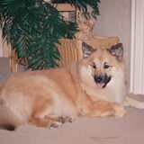 Foto van Grande Hulshorst